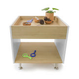 Whitney Brothers elevatED Discovery Table Sensory Play Furniture - white-background product hero view