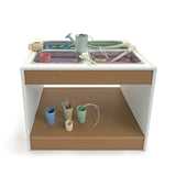 Whitney Brothers outdoorED Sensory Table Outdoor Sensory Table - white-background stocked tray view