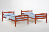 Sesame Twin over Twin Bunk Bed