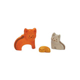 Cat Puzzle